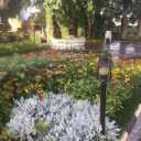 Zardpar photography garden in Hashtgerd