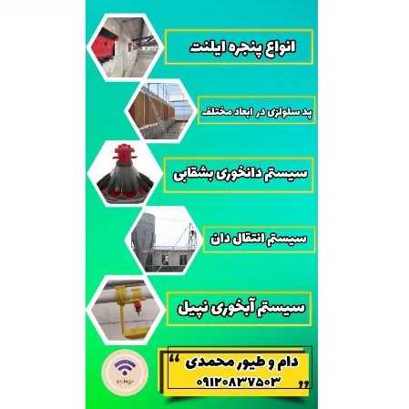 1709188207702.webp