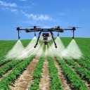 Pesticides and solution spraying of gardens and agricultural fields of Pehbad Sabz in Naqdeh