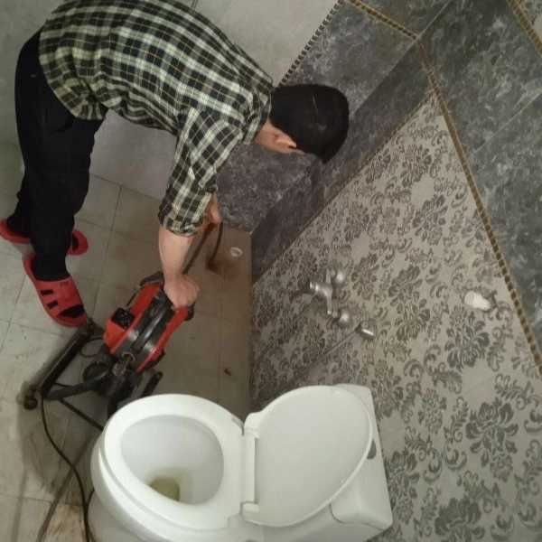1711782372575.webp