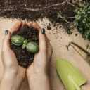 Horticultural and agricultural services of Khodabakhsh, implementation of plowing and spraying irrigation services in Qazvin