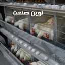 Poultry and greenhouse equipment of modern industry in Qazvin