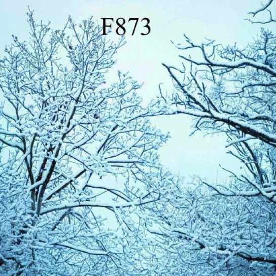 1713435448867.webp