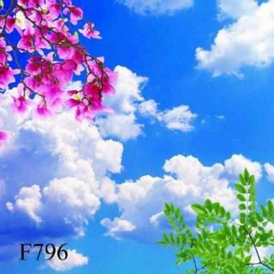1713435458511.webp
