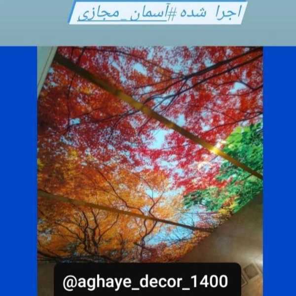 1713684730291.webp