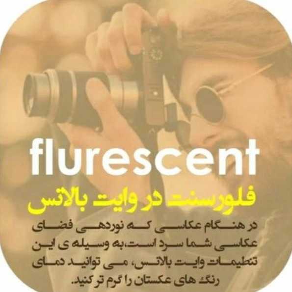 1714379835979.webp