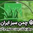 Chaman Sabz Iran, distribution of artificial grass in Rabat Karim