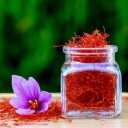 Adida saffron, exporter of saffron in Zanjan