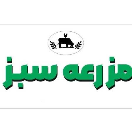 1714556276240.webp