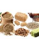 Mohammad Shojaei livestock feed, sale of corn feed and fodder in Gorgan, Sorkhan Kalate