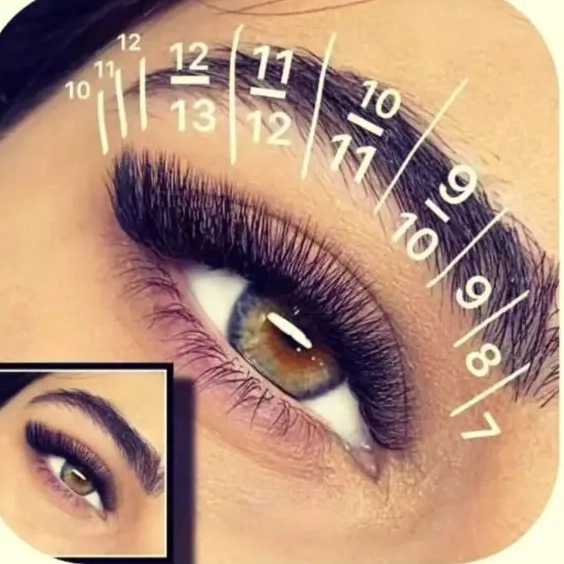 1714893560397.webp