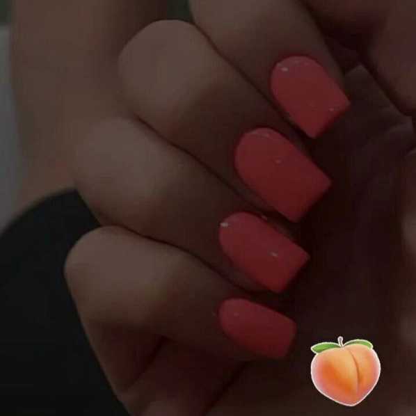 1715073242701.webp