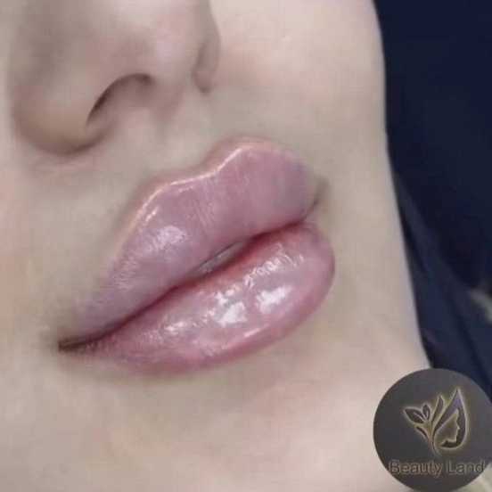 1715081168794.webp