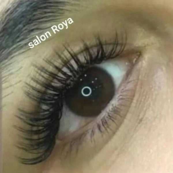 1715084844372.webp