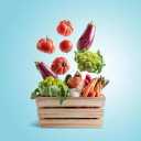 Marini summer vegetables, sale of all kinds of cabbage and bell pepper summer vegetables in Khuzestan, Behbahan