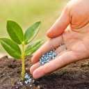 Kimia Zagros, production of sulfuric acid and sulfate fertilizers in Bojnord