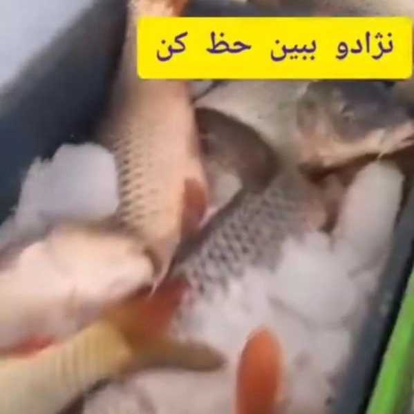 1716112390704.webp
