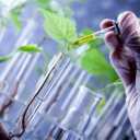 Mohammadi herbal medicine pharmacy in Urmia