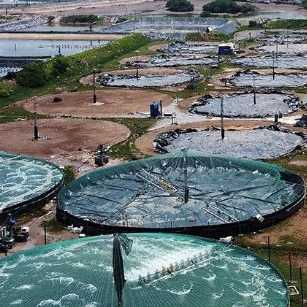 1716121262551.webp