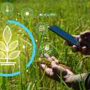 Hosseini Agricultural Holding nationwide distributor of fertilizers and agricultural tools in Tehran