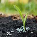 Zare store, wholesale sale of organic animal manure and chemical fertilizer in Tehran