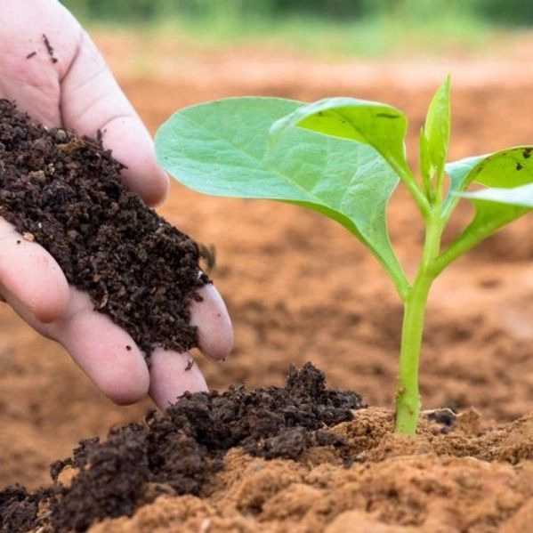 1716288386352.webp