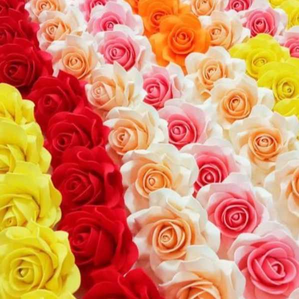 1717574779214.webp
