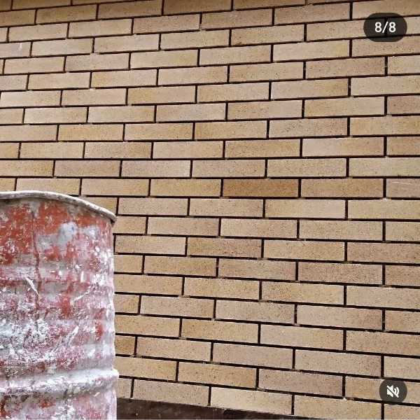 1717825701828.webp