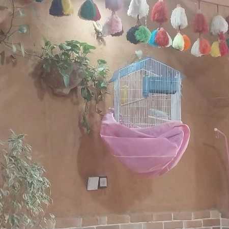1718086642056.webp