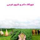 Faraji livestock and poultry feed, preparation and distribution of livestock feed in the middle of Azerbaijan