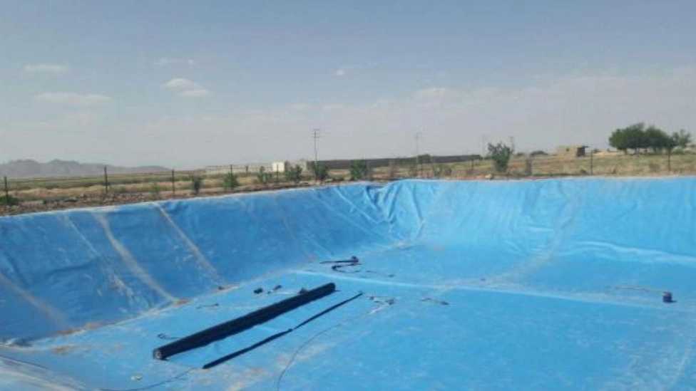 1718705138847.webp