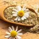 Shibani medicinal plants, wholesale sales of thyme and chamomile plants in Shiraz