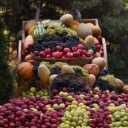 Kermi sorting, fruit and summer fruit export in Isfahan