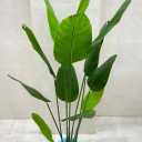 Fars Gol Sharaft, wholesale and retail distribution of artificial flowers and grass in Shiraz