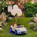 The blessed wedding garden, the ceremonies of the wedding table in Babylon, Mazandaran