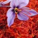 Ahmadzadeh store, production and sale of saffron in Birjand South Khorasan