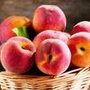Bibi Fruit, fruit and vegetable export in Sari