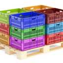 Plastic oysters, production and sale of fruit baskets in East Azerbaijan
