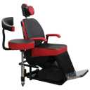 Sanatab Arash, manufacturer of electric chairs in Shiraz