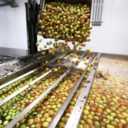Plus brand, supplying food and agriculture industries in Tehran
