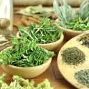 Parham green products, wholesale sale of organic dried fruits and vegetables in Neishabur
