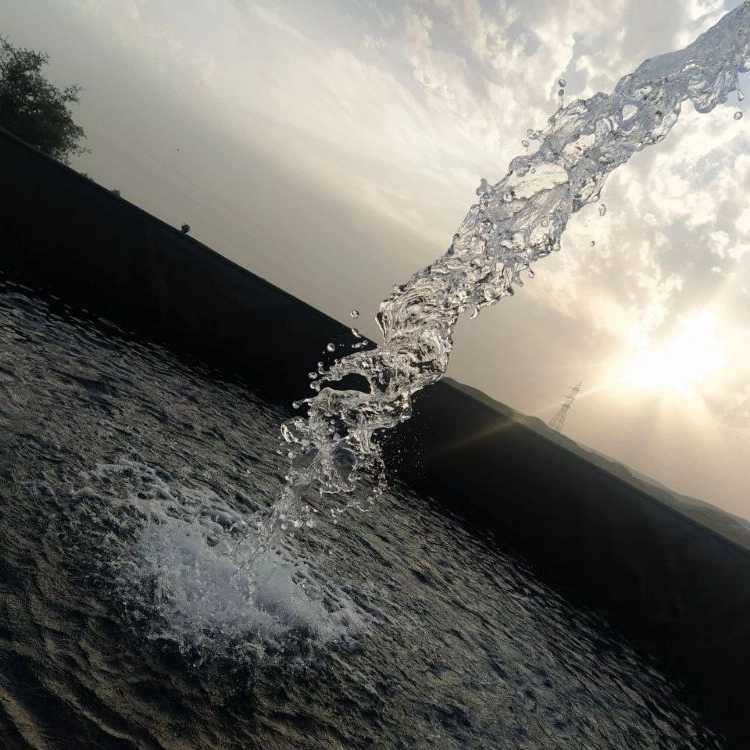 1727258181233.webp