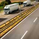 Misir Sabz trading, goods clearance and road transport in Hormozgan