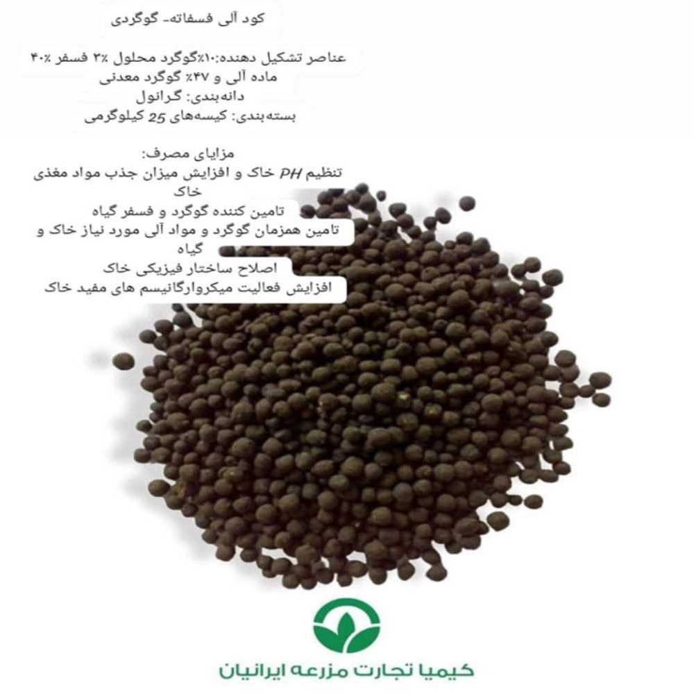 1730541083353.webp