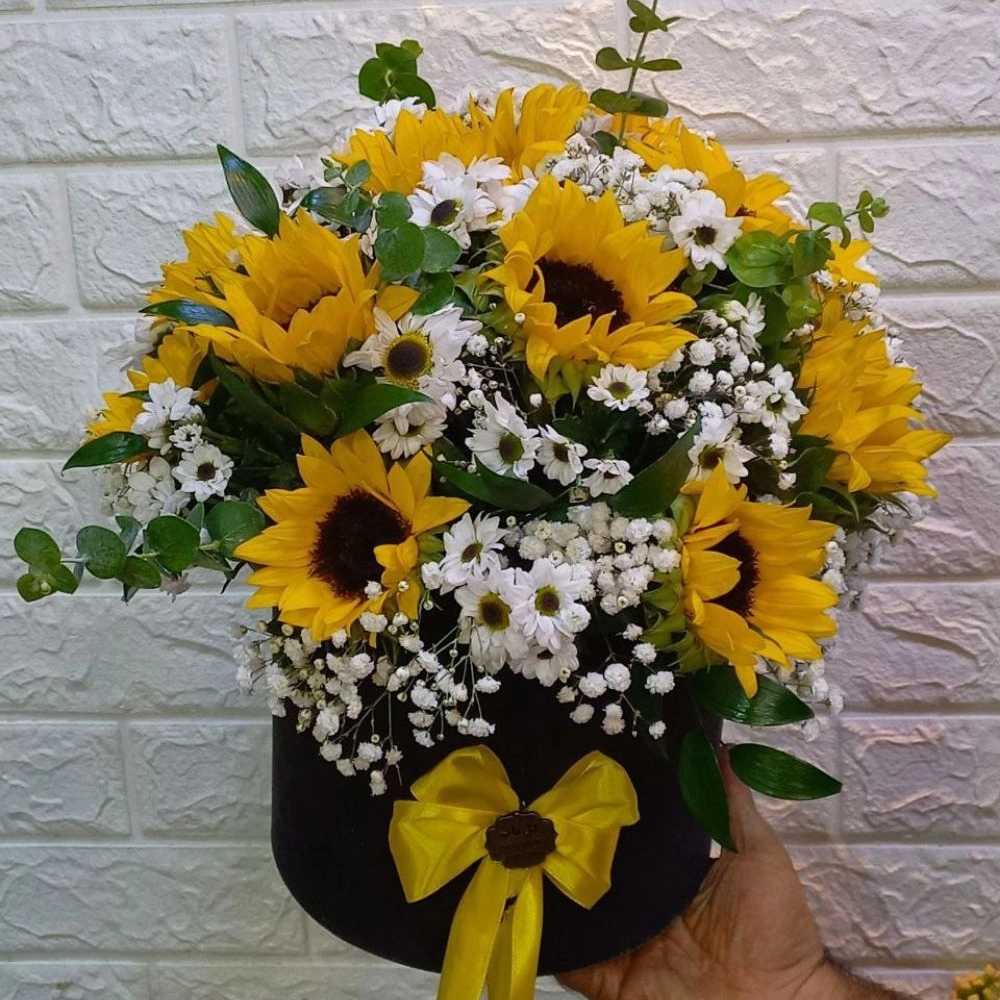 1731309336537.webp