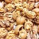 Gerdoland, the supply of walnuts and honey dried fruit in Arak