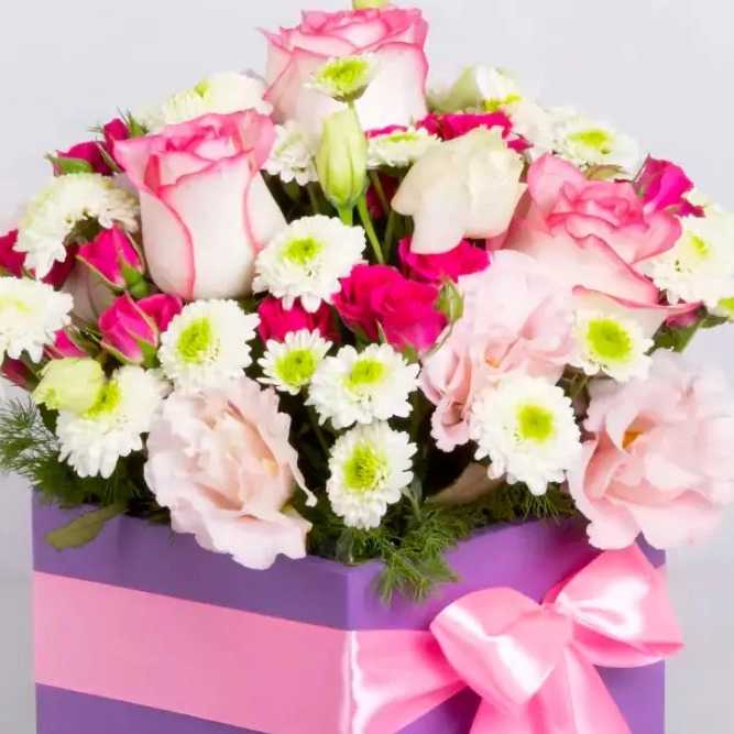 1732174431123.webp
