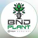 BNDPlant, sale of potted houseplants in Bandar Abbas