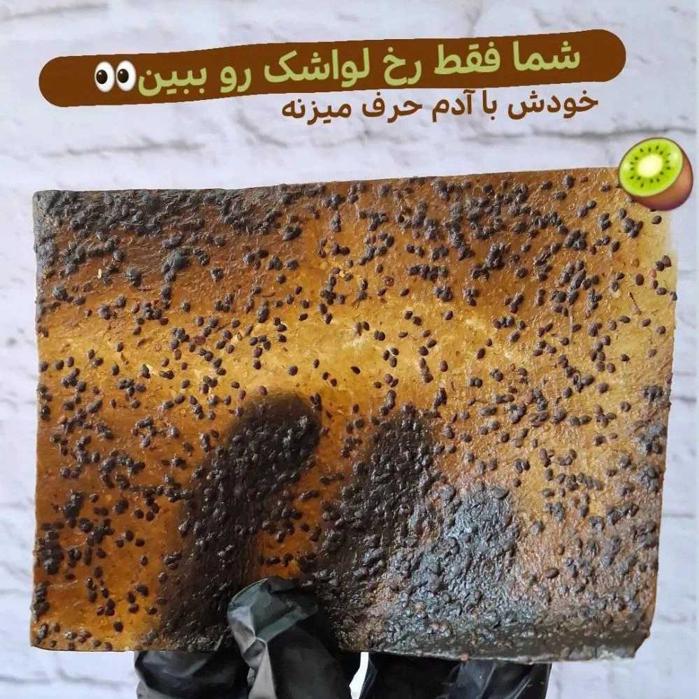 1732691464509.webp