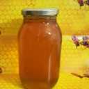 Asal Queen store, production and sale of bee products in Gorgan